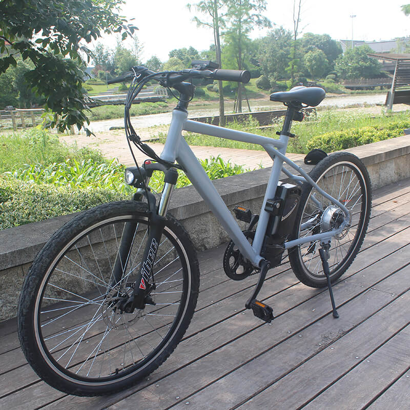 Raider E-bikes:2603