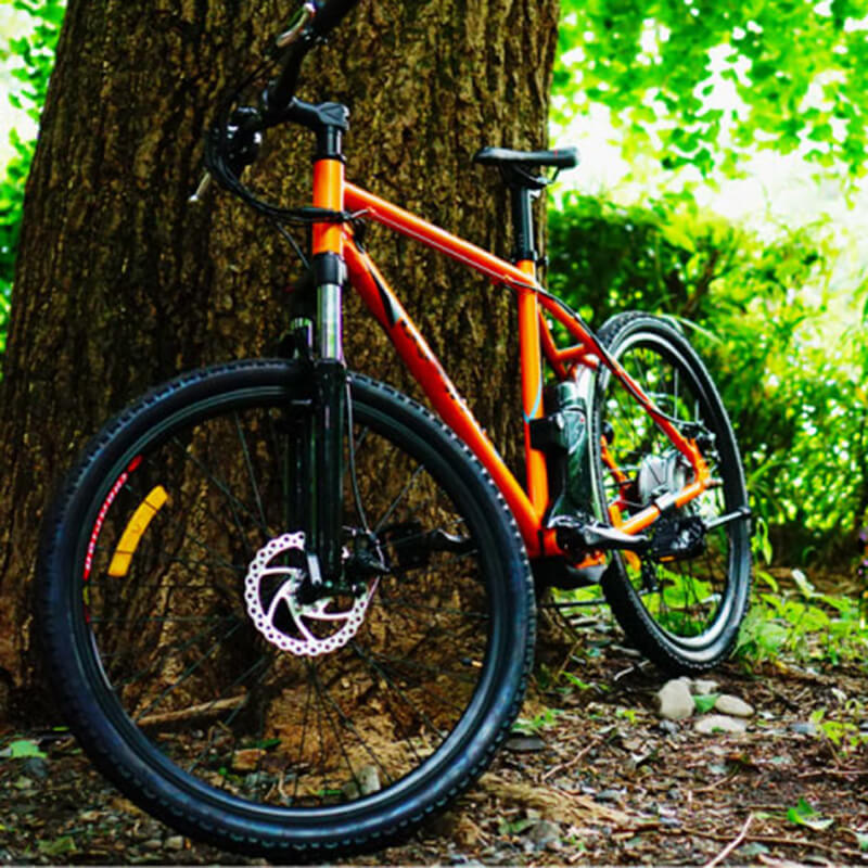 Raider E-bikes:2603