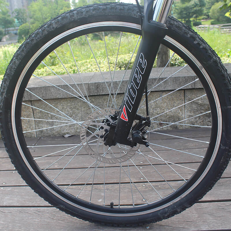 Raider E-bikes:2603