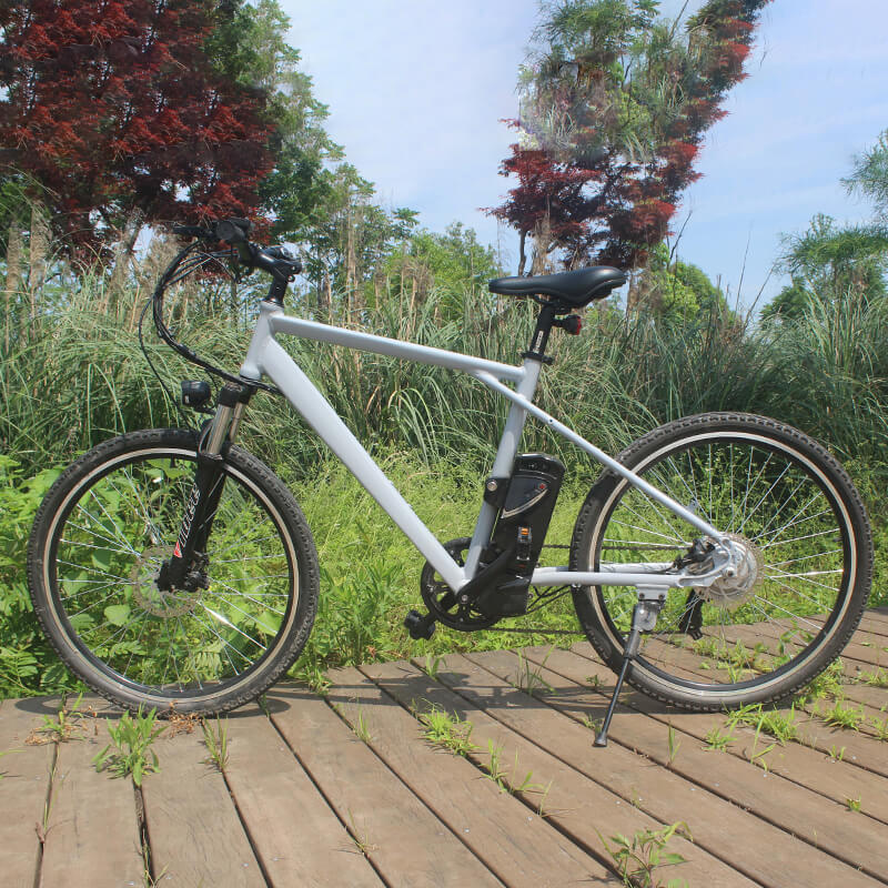 Raider E-bikes:2603