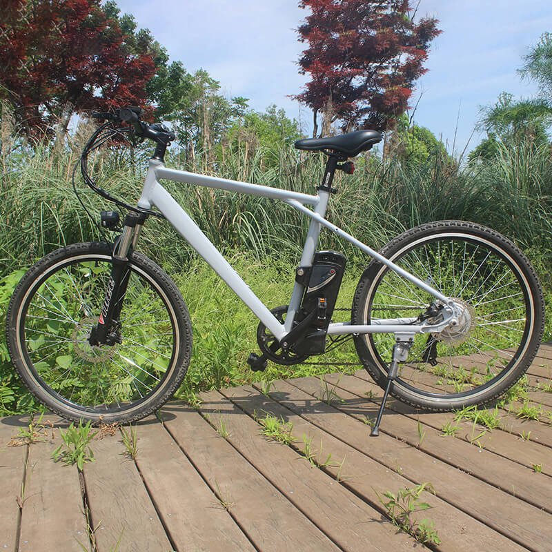 Raider E-bikes:2603