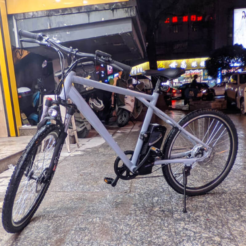 Raider E-bikes:2603