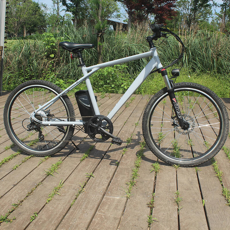 Raider E-bikes:2603