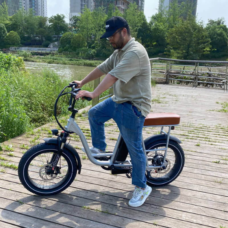 Raider E-bikes:2603