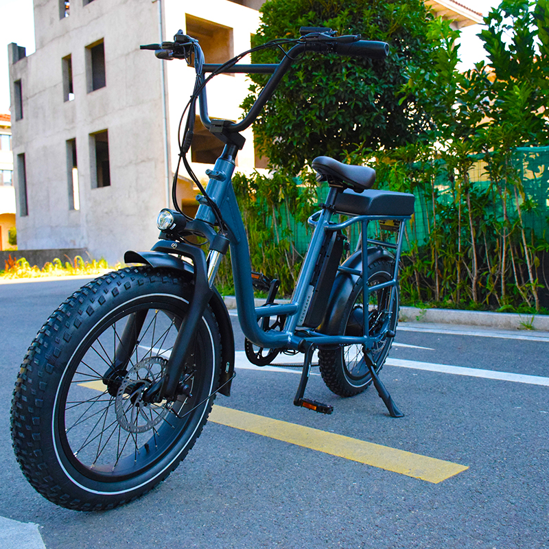 Good helper for 20 inch fat tire electric-cargo-bike