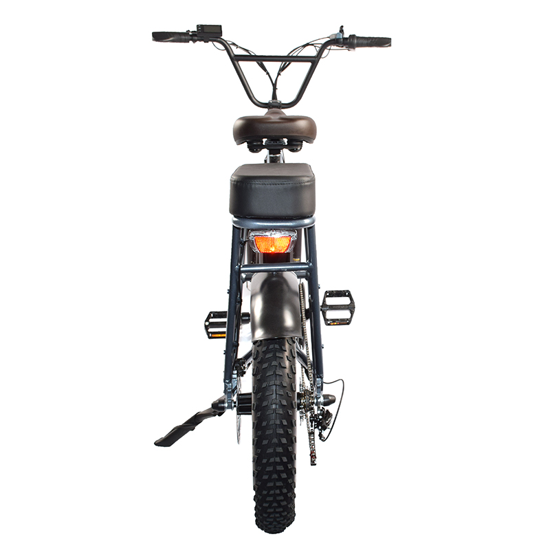 Good helper for 20 inch fat tire electric-cargo-bike
