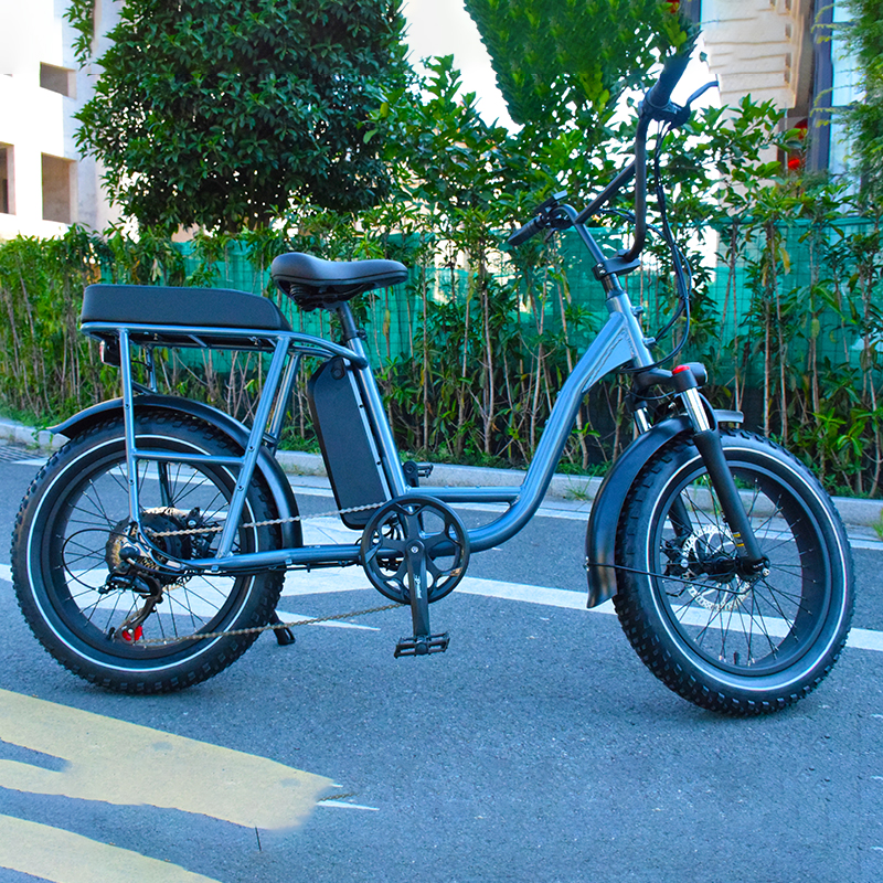 Good helper for 20 inch fat tire electric-cargo-bike