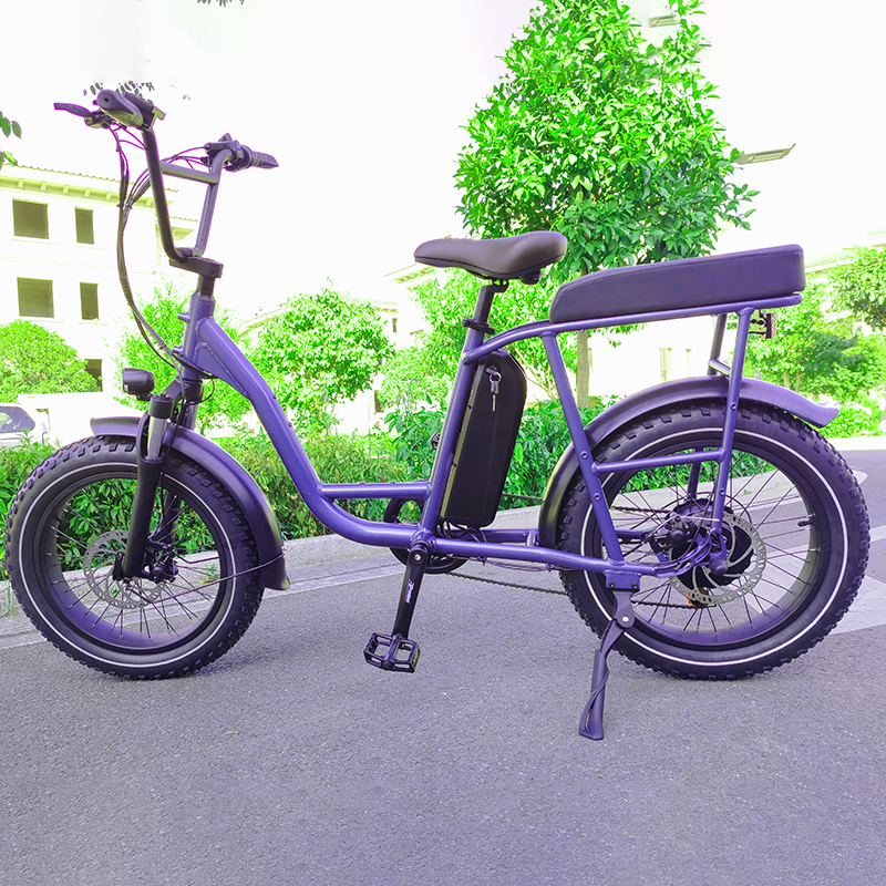 Good helper for 20 inch fat tire electric-cargo-bike