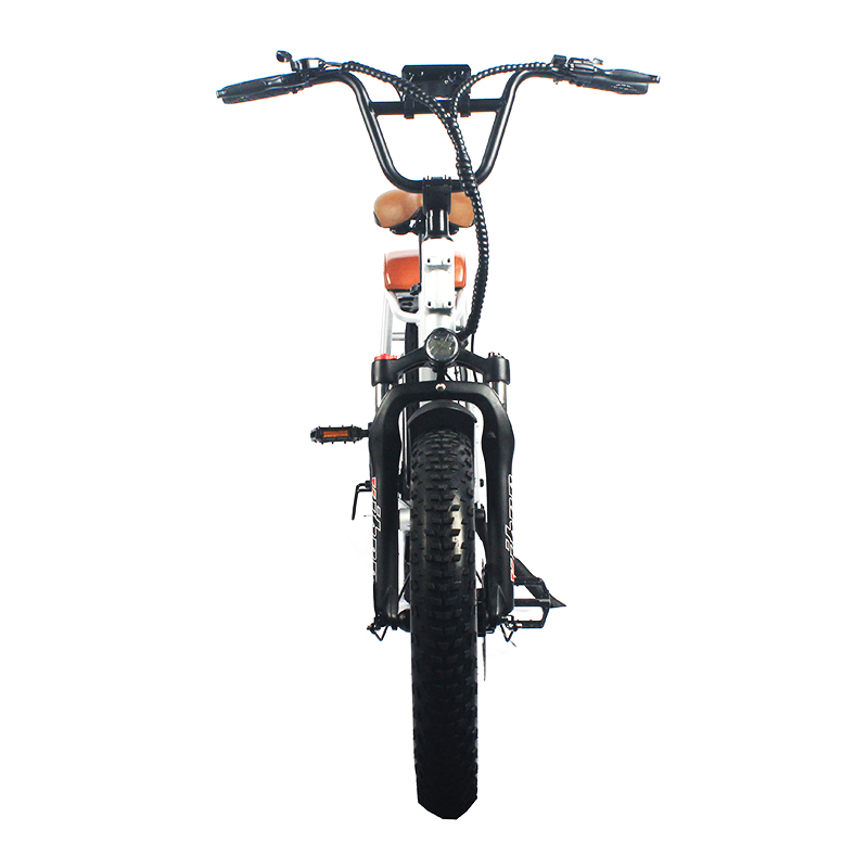 20*3.3 Fat Tire  E-BIKE.Enjoy well-known design