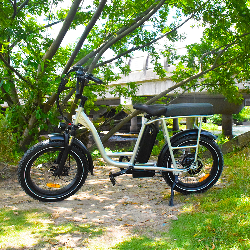 20*3.3 Fat Tire  E-BIKE.Enjoy well-known design