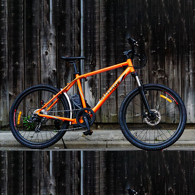 Spirit of Freedom - 26 Inch Electric Mountain Bike