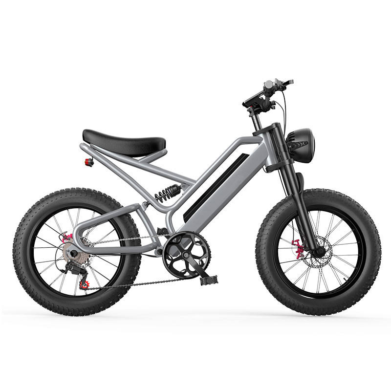 Mountain-38F Raider The Best 20 inch electric off-road snowmobile mountain bike