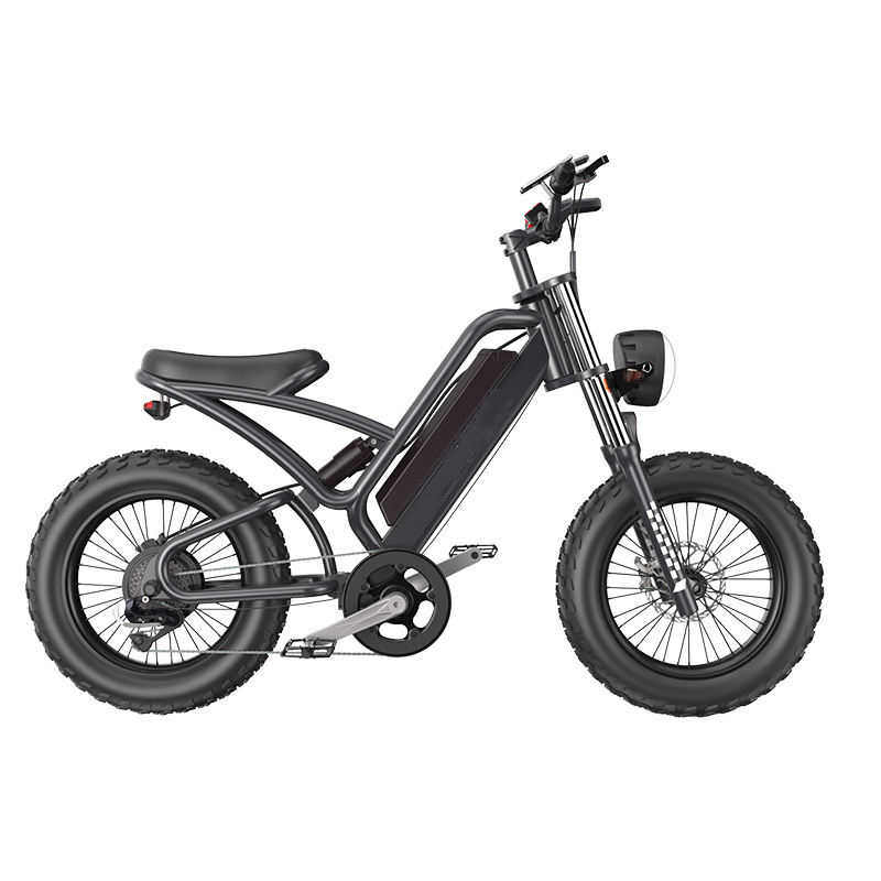 Mountain-38F Raider The Best 20 inch electric off-road snowmobile mountain bike