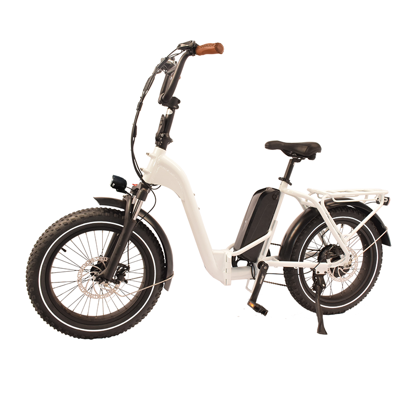 F-45 Raider Space-Saver Electric Folding Bikes