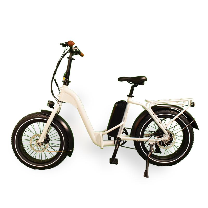 F-41F Raider Sinch foldable step through ebike