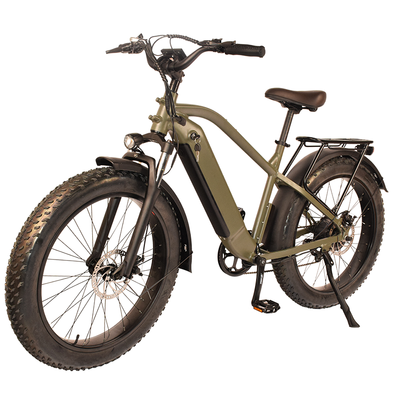 Power-31F Raider Electric Fat Tire Bike