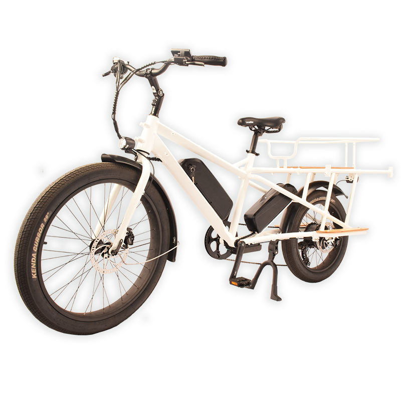 Wagon-602S Raider Electric Cargo Bike.The Trusted Cargo Carrier.