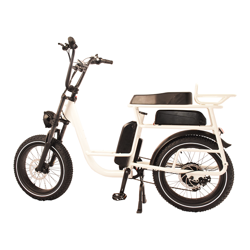 Power-40FS Raider Infinite function bicycle.Dual batteries
