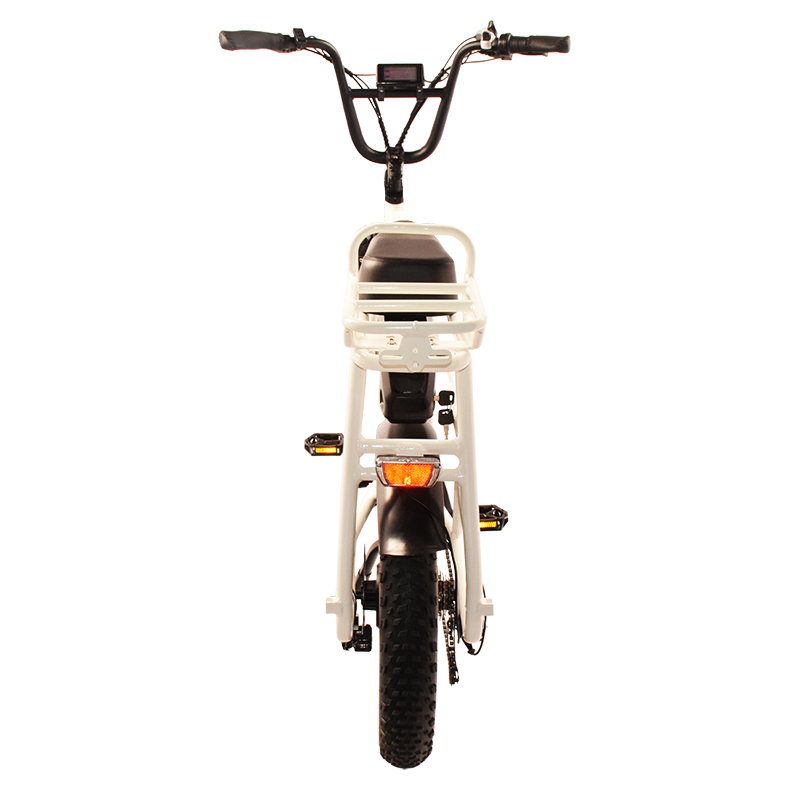 Power-40FS Raider Infinite function bicycle.Dual batteries