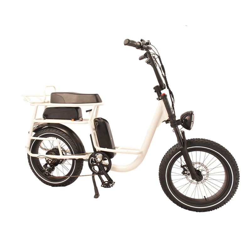 Power-40FS Raider Infinite function bicycle.Dual batteries