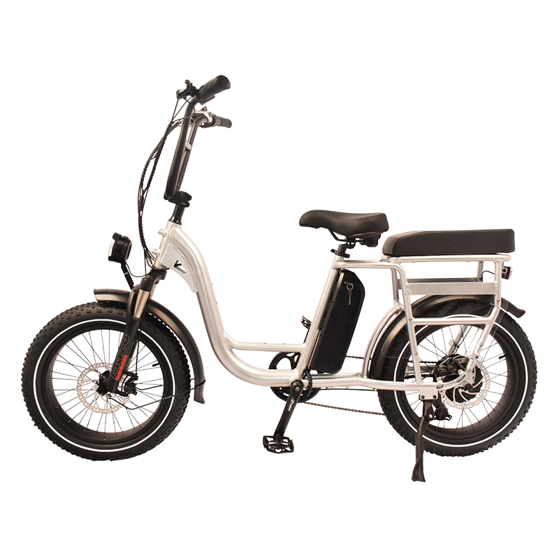 Runner-34F Raider Electric Utility Bike.Bring a friend Cargo