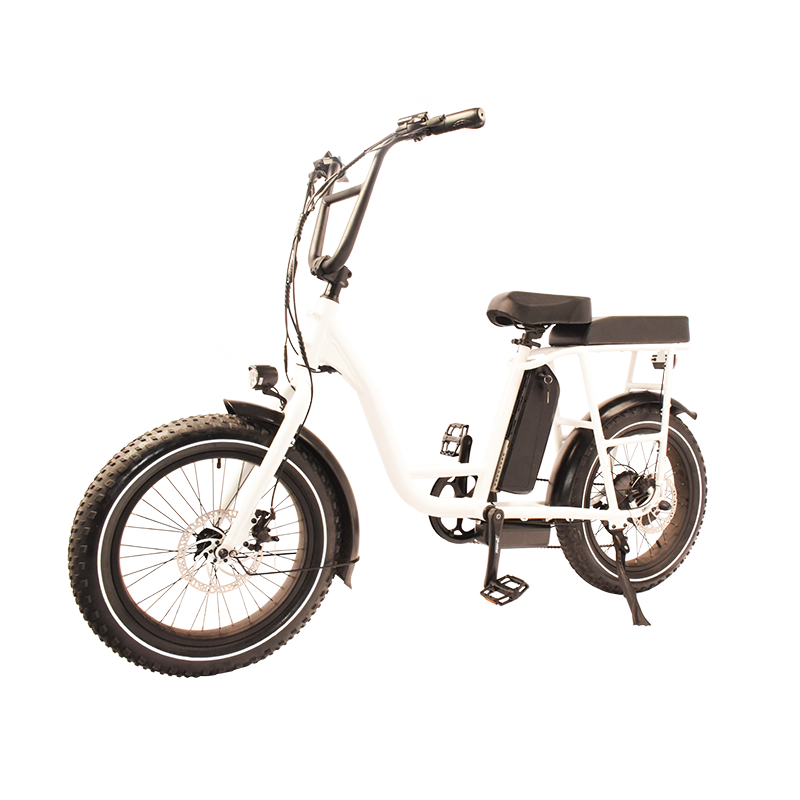 Power-32F Raider Electric Utility Bike The Jack of All Trades